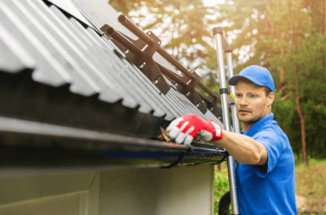 westfield gutter service